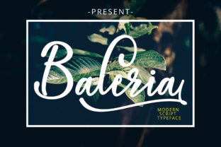 Baleria Script: A Modern Handwritten Font for Digital Branding