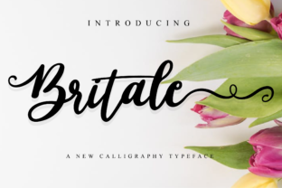 Britale Script Typeface Review: Romantic Typography for Digital Brands