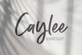 Caylee Script Review: A Sweet Handwritten Typeface for Modern Branding