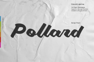 Pollard Script: A Contemporary Typeface for Editorial Design