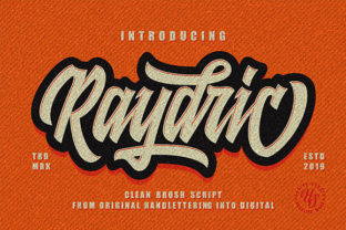 Raydric Script Shadow Outline: A Creative Font for Bold Branding