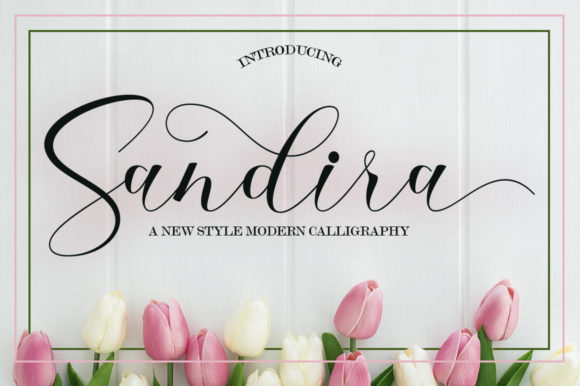 Sandira Script: The Elegant Touch Your Brand Identity Needs