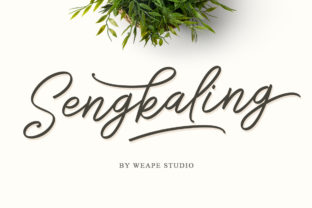Sengkaling Script: A Modern Typeface for Digital Branding
