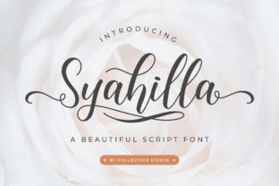 Why I Chose Syahilla Script for My Latest Web Project